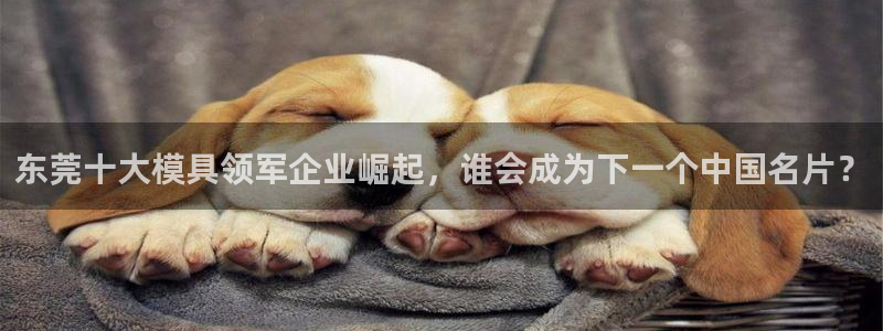 太阳 官网：东莞十大模具领军企业崛起，谁会成为下一个中国名片？