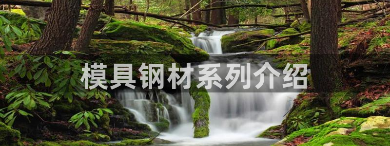 太阳成集团tyc234cc主页网址：模具钢材系列介绍