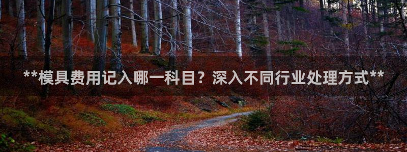 太阳诚集团是干什么的：**模具费用记入哪一科目？深入不同行业处理方式**
