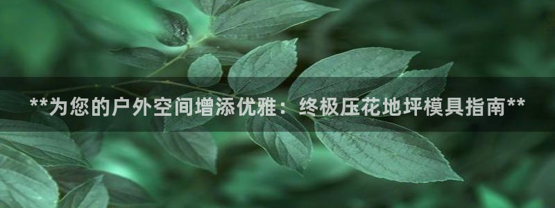 太阳成集团游戏：**为您的户外空间增添优雅：终极压花地坪模具指南**