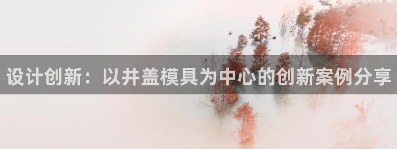 太阳成集团网址：设计创新：以井盖模具为中心的创新案例分享