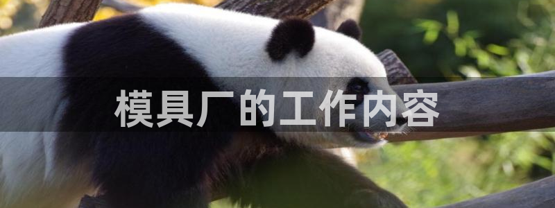 太阳gg打不开了吗：模具厂的工作内容