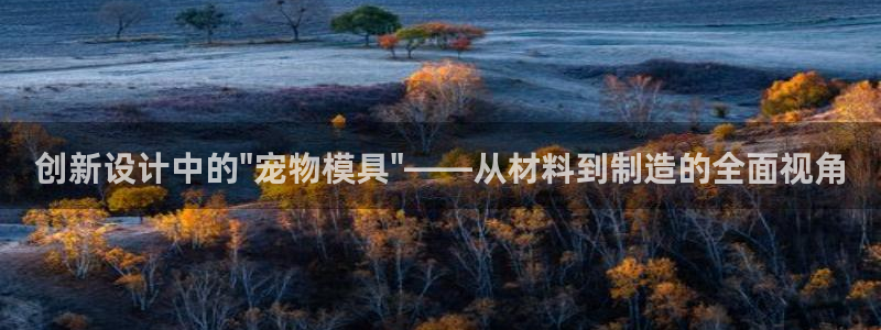 太阳集团电子游戏大全：创新设计中的\