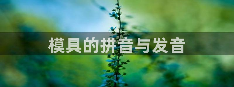 太阳集团网站多少：模具的拼音与发音