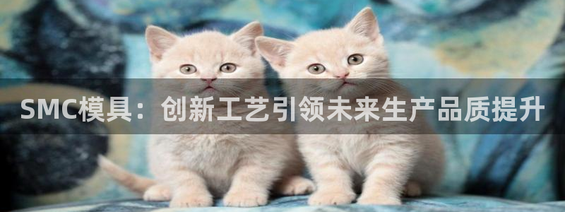 太阳集团所有网址16877：SMC模具：创新工艺引领未来生产品质提升