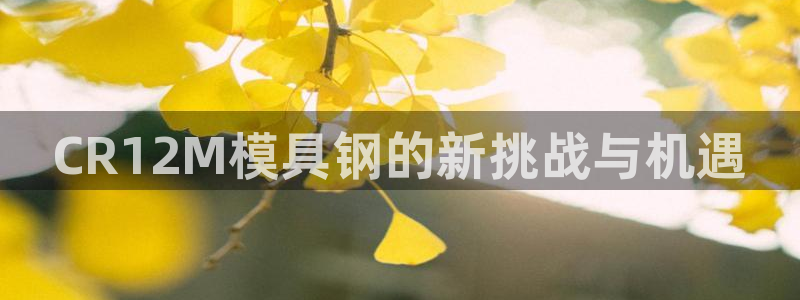 063801太阳集团备用网址：CR12M模具钢的新挑战与机遇