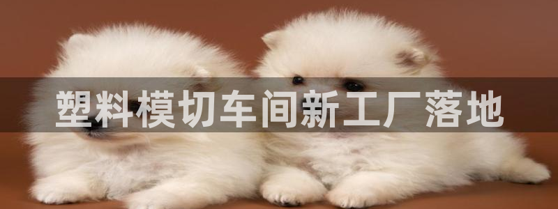 太阳集团城网站2：塑料模切车间新工厂落地