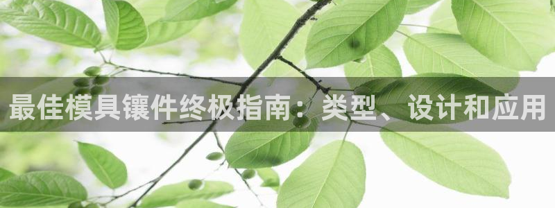 太阳集团tcy8722电子游戏：最佳模具镶件终极指南：类型、设计和应用