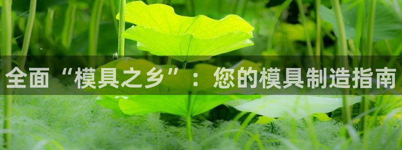 太阳1城集团网址查询：全面“模具之乡”：您的模具制造指南