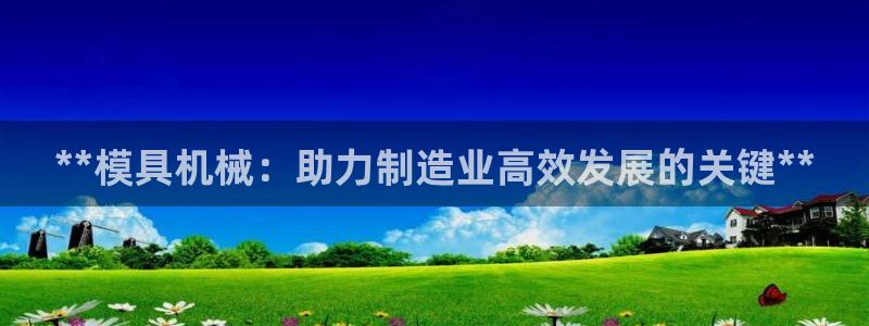 太阳appvip：**模具机械：助力制造业高效发展的关键**