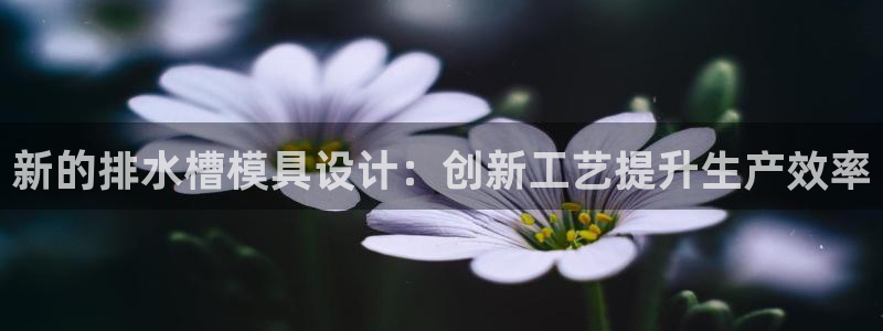 太阳2注册官网下载：新的排水槽模具设计：创新工艺提升生产效率