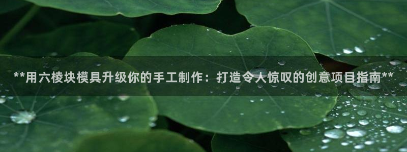 太阳集团的法人代表