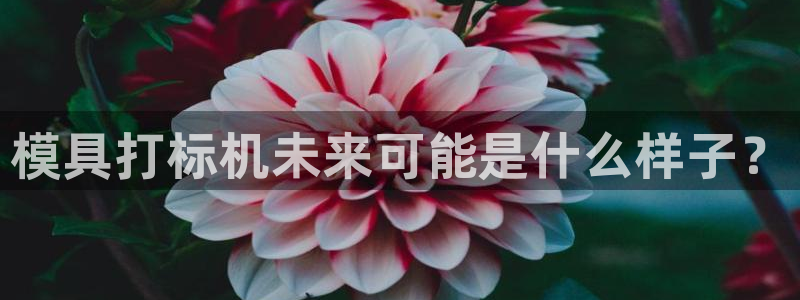 太阳影业投资：模具打标机未来可能是什么样子？