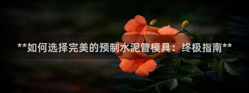太阳集团1383