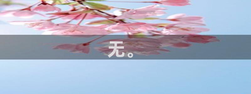 太阳集团城网站2017：无。