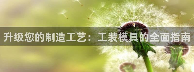 太阳影视公司：升级您的制造工艺：工装模具的全面指南