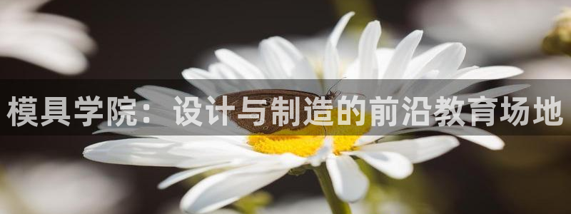 古天乐代言太阳网址：模具学院：设计与制造的前沿教育场地
