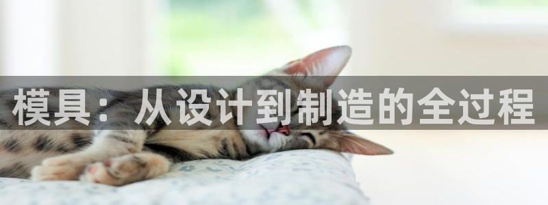 太阳成娱乐集团