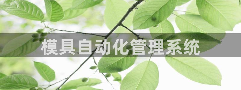 太阳诚集团电影：模具自动化管理系统