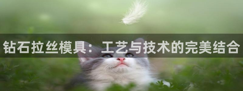 太阳成集团tyc7111cc下载手机版：钻石拉丝模具：工艺与技术的完美结合