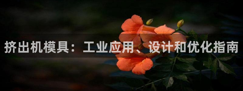 太阳集团游戏城：挤出机模具：工业应用、设计和优化指南