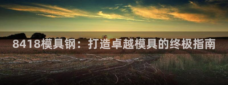 太阳集团股份有限公司招聘：8418模具钢：打造卓越模具的终极指南