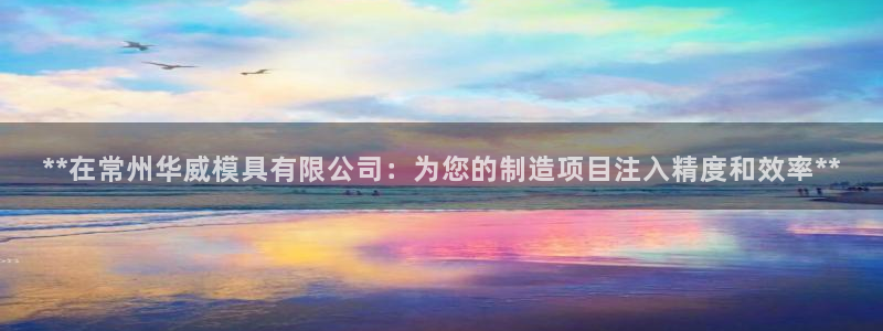 太阳集团城娱8722：**在常州华威模具有限公司：为您的制造项目注入精度和效率**