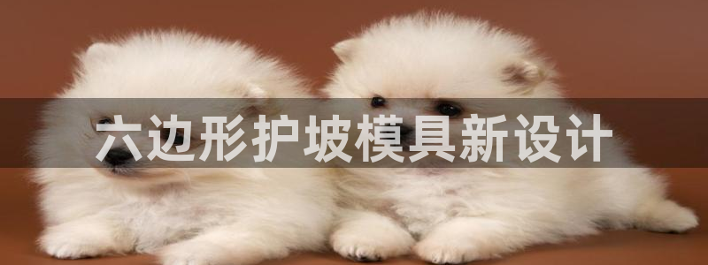 太阳2注册官网下载：六边形护坡模具新设计