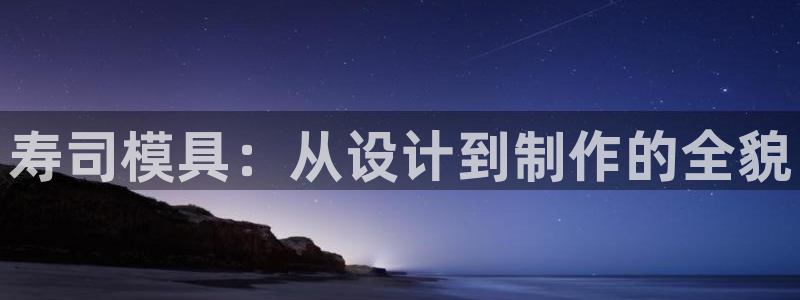 太阳股份有限公司：寿司模具：从设计到制作的全貌