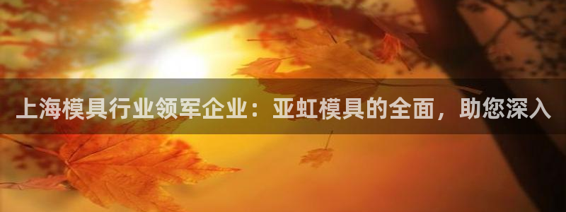 太阳集团入口官网首页：上海模具行业领军企业：亚虹模具的全面，助您深入