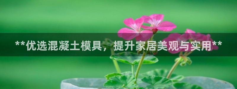太阳成集团游戏是正规平台嚒：**优选混凝土模具，提升家居美观与实用**