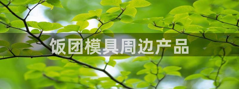 太阳集团电子游戏宙斯：饭团模具周边产品