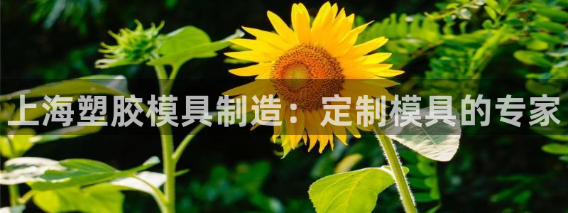 太阳游戏城app