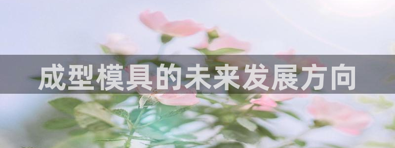 太阳科技集团：成型模具的未来发展方向