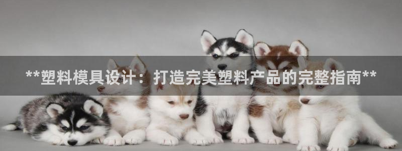 太阳集团电子游戏官方版