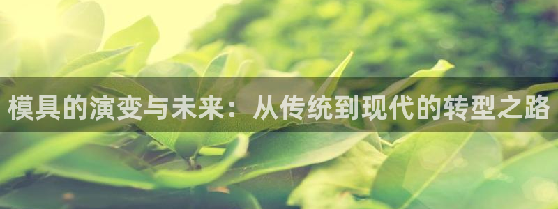 太阳集团1088vip：模具的演变与未来：从传统到现代的转型之路