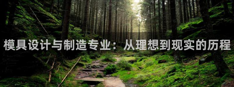 太阳集团主要是做什么的：模具设计与制造专业：从理想到现实的历程