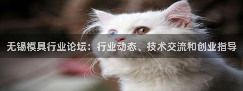 太阳app官网：无锡模具行业论坛：行业动态、技术交流和创业指导