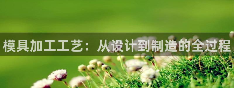 太阳诚集团有限公司怎么样：模具加工工艺：从设计到制造的全过程