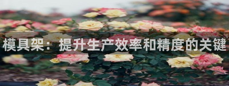 太阳c集团：模具架：提升生产效率和精度的关键