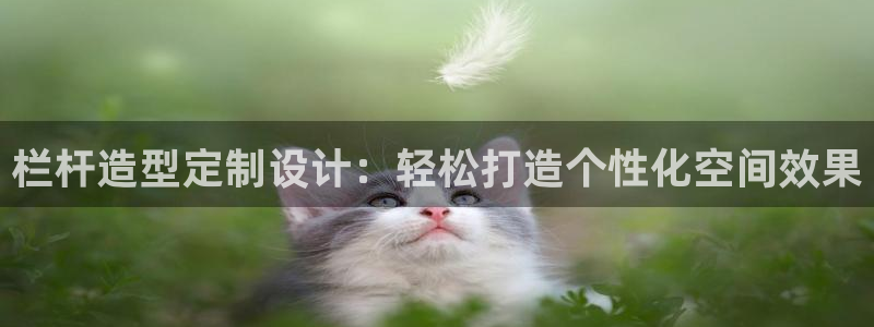 太阳集团是什么公司：栏杆造型定制设计：轻松打造个性化空间效果