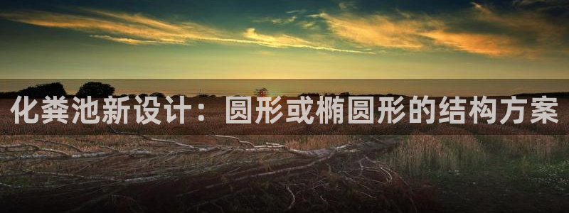 太阳集团股东