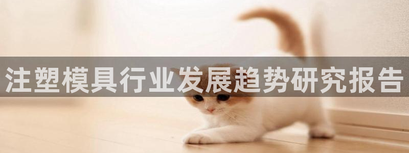 太阳阳城集团太阳卡：注塑模具行业发展趋势研究报告