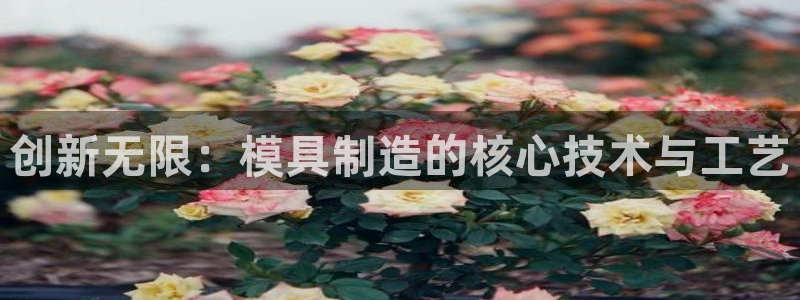 太阳集团电子游戏有限公司