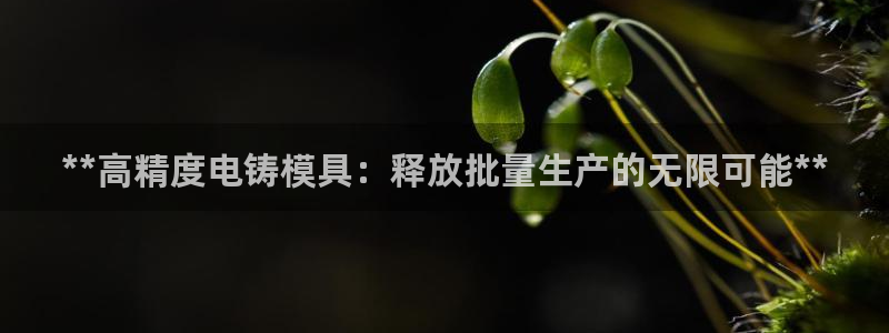 太阳集团电子游戏官方版
