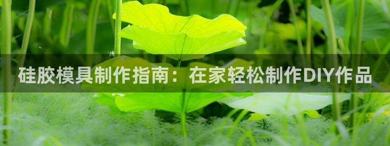 太阳集团城网址娱网：硅胶模具制作指南：在家轻松制作DIY作品
