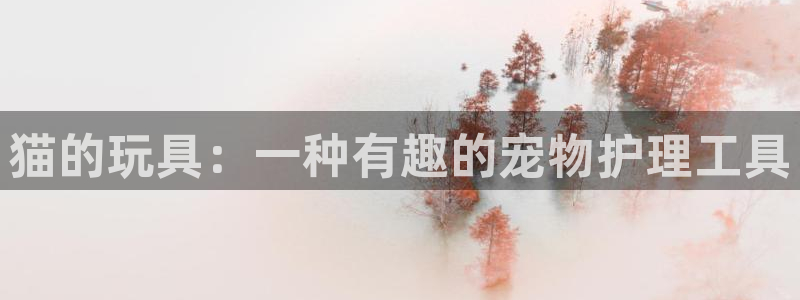 太阳集团城所有网址是多少：猫的玩具：一种有趣的宠物护理工具
