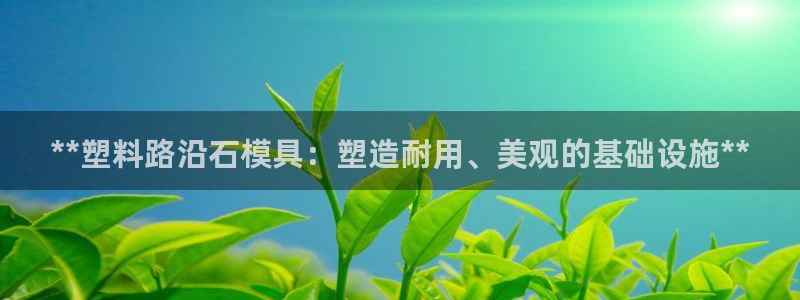 太阳集团官网8722：**塑料路沿石模具：塑造耐用、美观的基础设施**