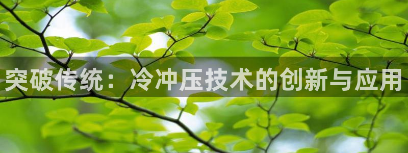 太阳成娱乐集团：突破传统：冷冲压技术的创新与应用