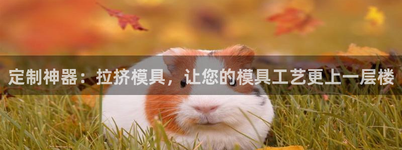太阳集团不能提现怎么办：定制神器：拉挤模具，让您的模具工艺更上一层楼